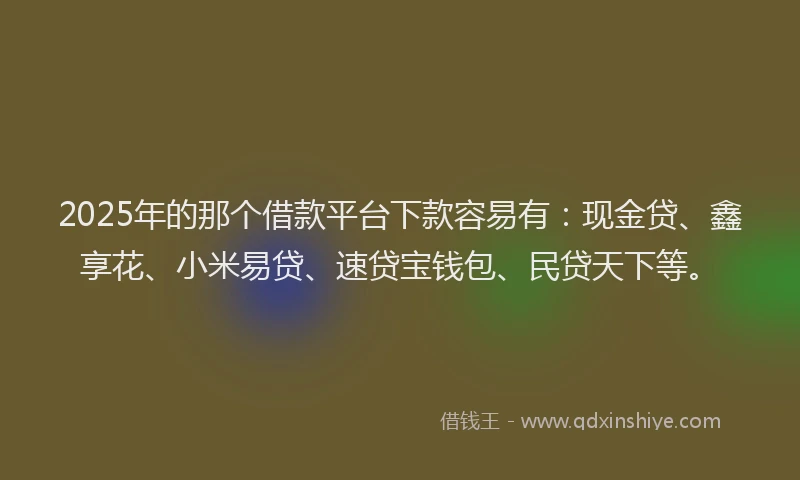2025年的那个借款平台下款容易有：现金贷、鑫享花、小米易贷、速贷宝钱包、民贷天下等。