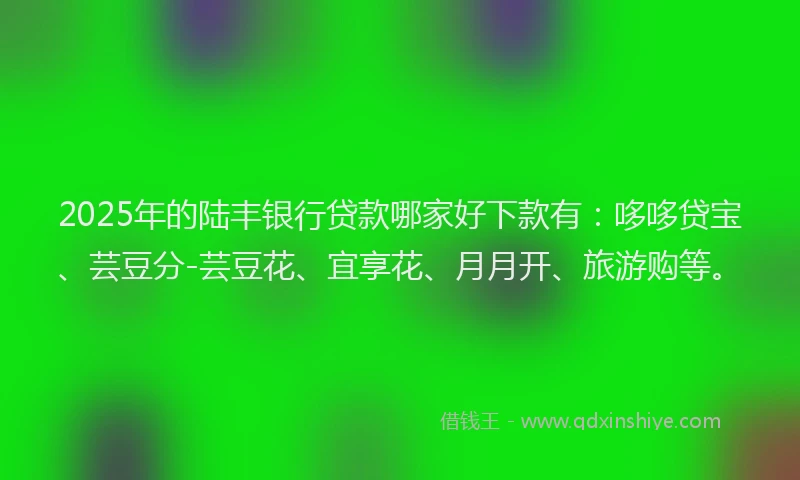 2025年的陆丰银行贷款哪家好下款有：哆哆贷宝、芸豆分-芸豆花、宜享花、月月开、旅游购等。