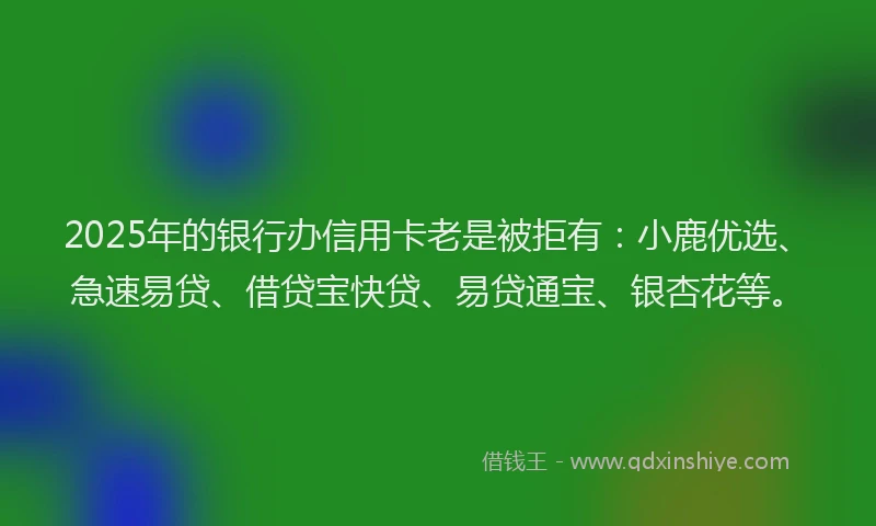 2025年的银行办信用卡老是被拒有：小鹿优选、急速易贷、借贷宝快贷、易贷通宝、银杏花等。