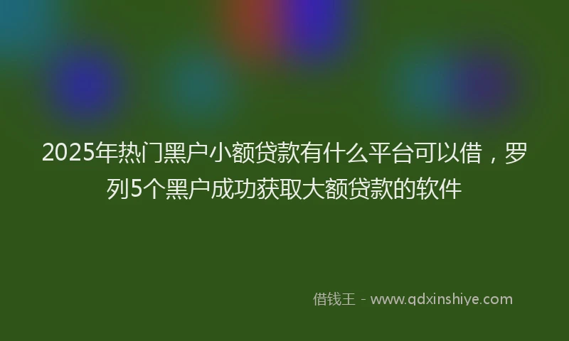 2025年热门黑户小额贷款有什么平台可以借，罗列5个黑户成功获取大额贷款的软件