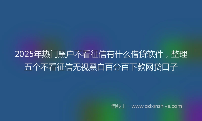 2025年热门黑户不看征信有什么借贷软件，整理五个不看征信无视黑白百分百下款网贷口子