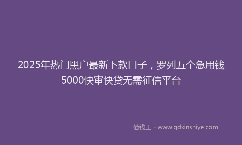 2025年热门黑户最新下款口子，罗列五个急用钱5000快审快贷无需征信平台