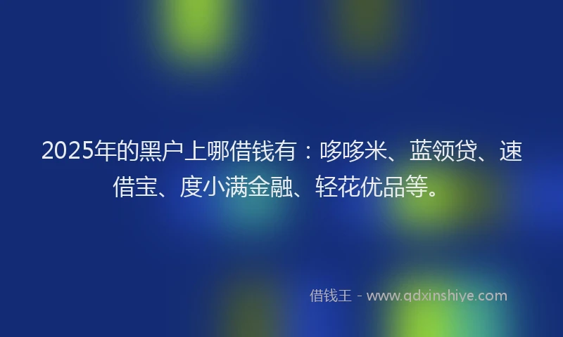 2025年的黑户上哪借钱有：哆哆米、蓝领贷、速借宝、度小满金融、轻花优品等。