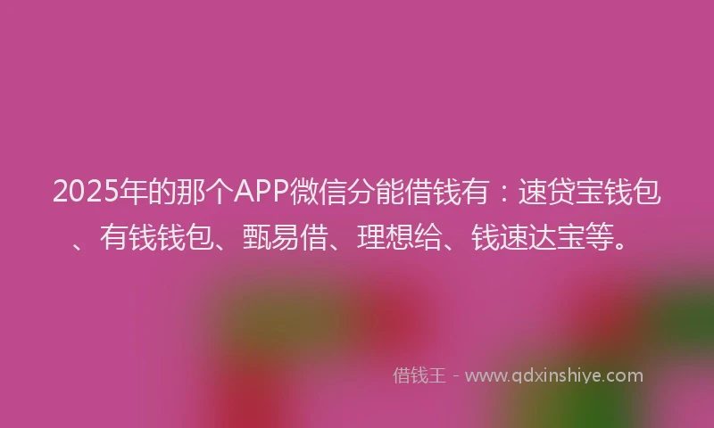 2025年的那个APP微信分能借钱有：速贷宝钱包、有钱钱包、甄易借、理想给、钱速达宝等。