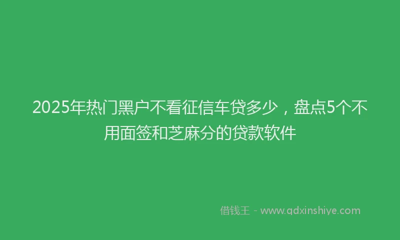 2025年热门黑户不看征信车贷多少，盘点5个不用面签和芝麻分的贷款软件