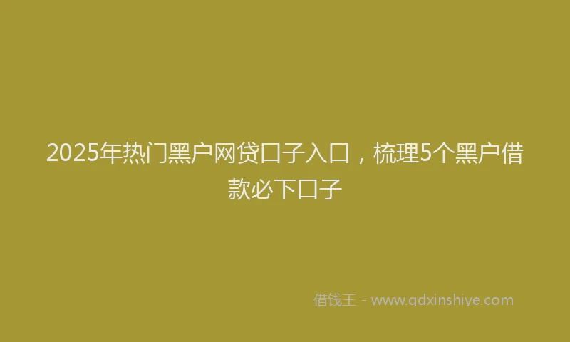 2025年热门黑户网贷口子入口，梳理5个黑户借款必下口子