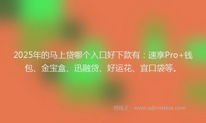 2025年的马上贷哪个入口好下款有：速享Pro+钱包、金宝盒、迅融贷、好运花、宜口袋等。