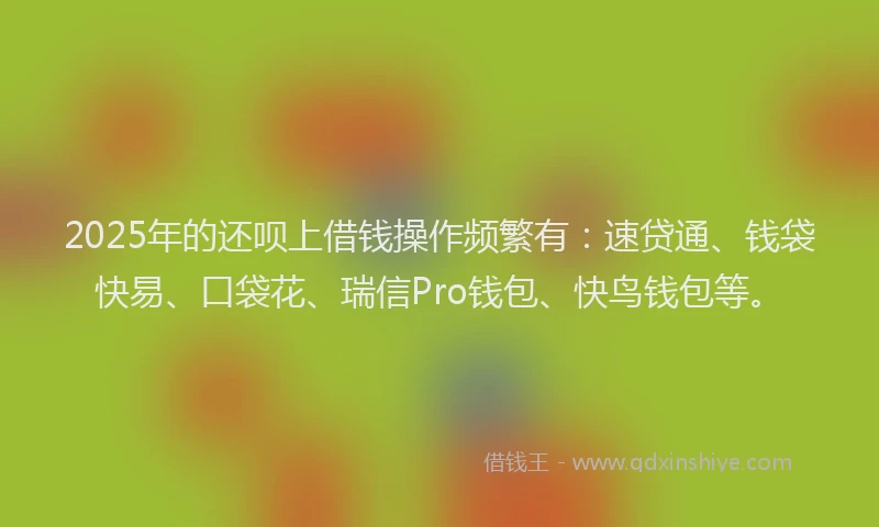 2025年的还呗上借钱操作频繁有：速贷通、钱袋快易、口袋花、瑞信Pro钱包、快鸟钱包等。
