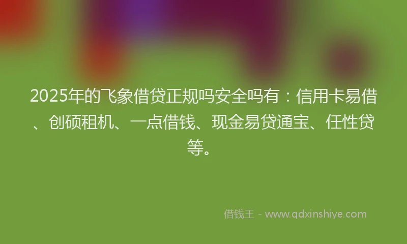 2025年的飞象借贷正规吗安全吗有：信用卡易借、创硕租机、一点借钱、现金易贷通宝、任性贷等。