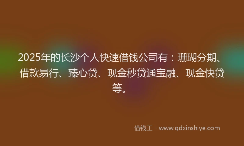 2025年的长沙个人快速借钱公司有：珊瑚分期、借款易行、臻心贷、现金秒贷通宝融、现金快贷等。