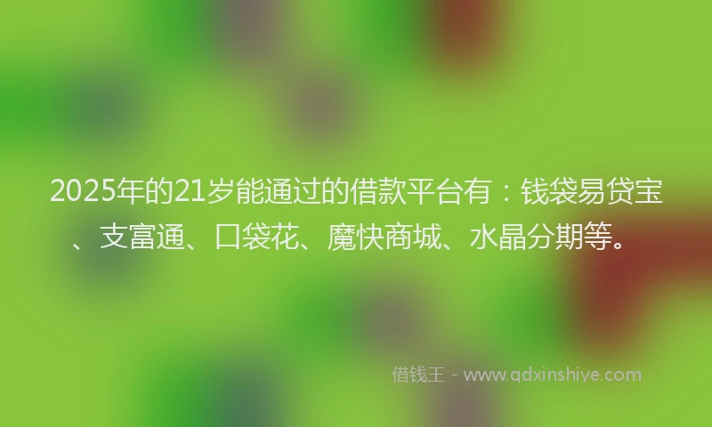 2025年的21岁能通过的借款平台有：钱袋易贷宝、支富通、口袋花、魔快商城、水晶分期等。