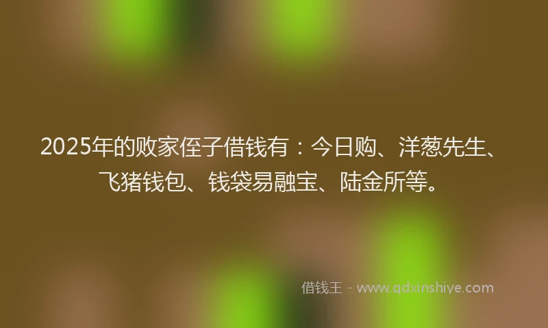 2025年的败家侄子借钱有：今日购、洋葱先生、飞猪钱包、钱袋易融宝、陆金所等。