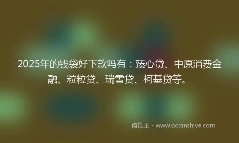 2025年的钱袋好下款吗有：臻心贷、中原消费金融、粒粒贷、瑞雪贷、柯基贷等。