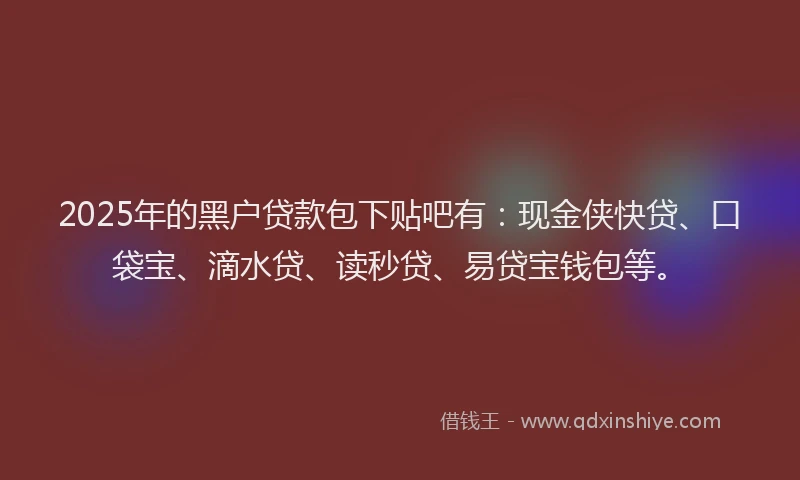 2025年的黑户贷款包下贴吧有：现金侠快贷、口袋宝、滴水贷、读秒贷、易贷宝钱包等。