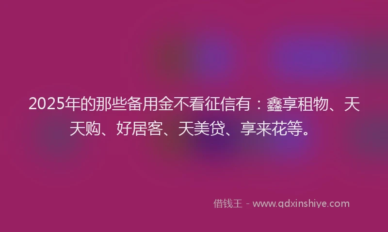 2025年的那些备用金不看征信有：鑫享租物、天天购、好居客、天美贷、享来花等。