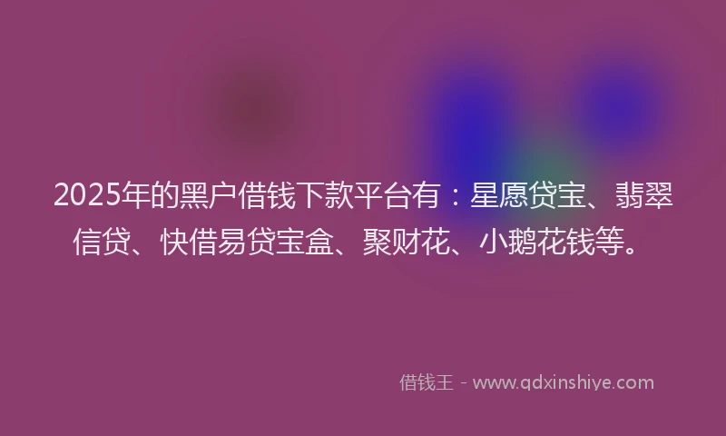 2025年的黑户借钱下款平台有：星愿贷宝、翡翠信贷、快借易贷宝盒、聚财花、小鹅花钱等。
