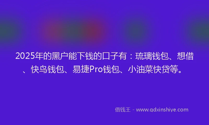 2025年的黑户能下钱的口子有：琉璃钱包、想借、快鸟钱包、易捷Pro钱包、小油菜快贷等。