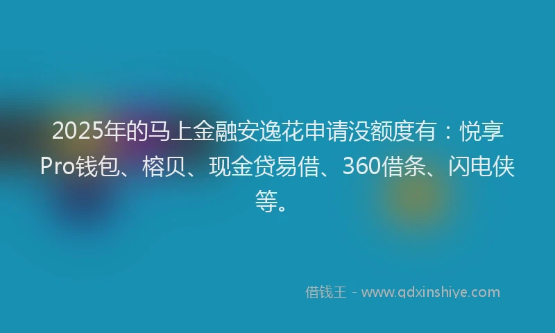2025年的马上金融安逸花申请没额度有：悦享Pro钱包、榕贝、现金贷易借、360借条、闪电侠等。