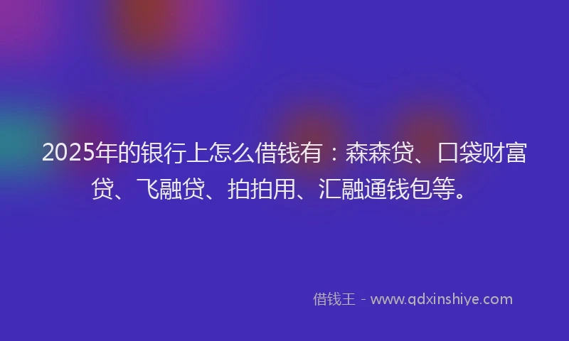 2025年的银行上怎么借钱有：森森贷、口袋财富贷、飞融贷、拍拍用、汇融通钱包等。