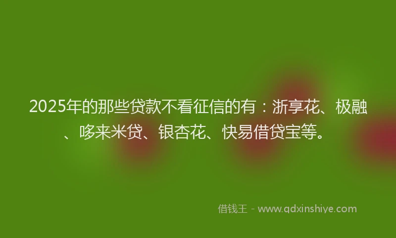 2025年的那些贷款不看征信的有：浙享花、极融、哆来米贷、银杏花、快易借贷宝等。