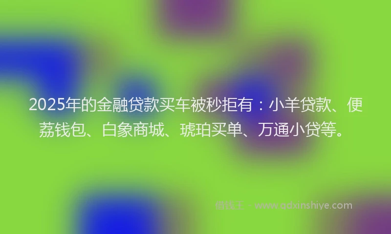 2025年的金融贷款买车被秒拒有：小羊贷款、便荔钱包、白象商城、琥珀买单、万通小贷等。