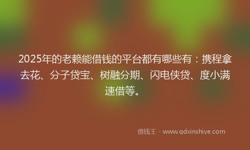 2025年的老赖能借钱的平台都有哪些有：携程拿去花、分子贷宝、树融分期、闪电侠贷、度小满速借等。
