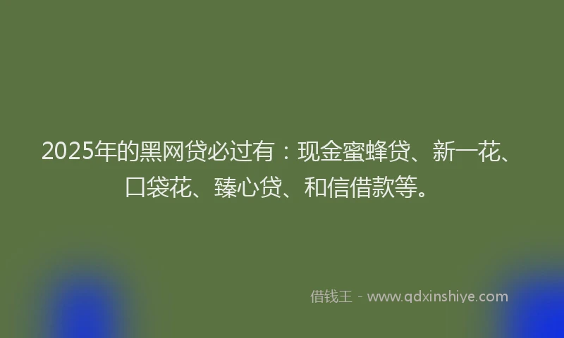 2025年的黑网贷必过有：现金蜜蜂贷、新一花、口袋花、臻心贷、和信借款等。