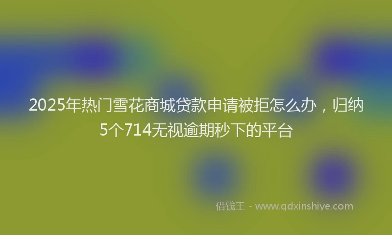 2025年热门雪花商城贷款申请被拒怎么办，归纳5个714无视逾期秒下的平台