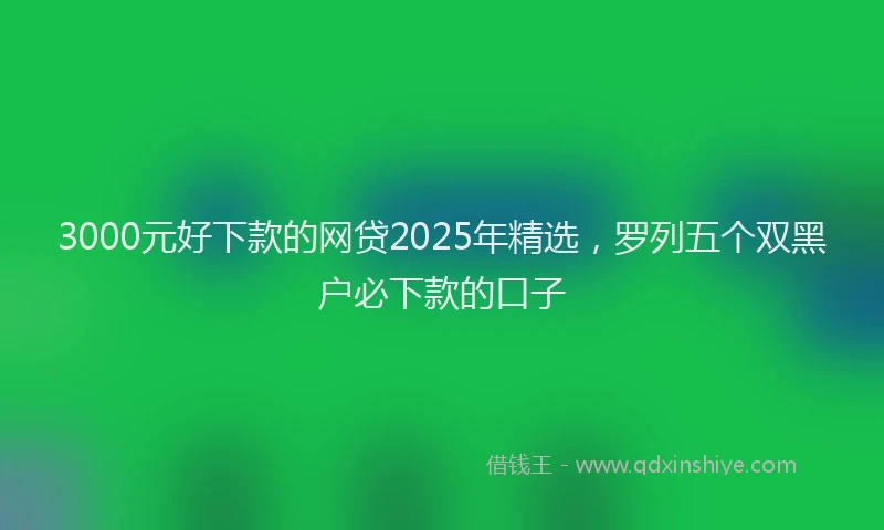 3000元好下款的网贷2025年精选，罗列五个双黑户必下款的口子