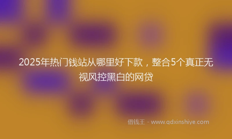 2025年热门钱站从哪里好下款，整合5个真正无视风控黑白的网贷