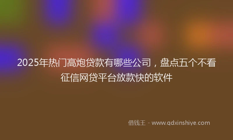 2025年热门高炮贷款有哪些公司，盘点五个不看征信网贷平台放款快的软件
