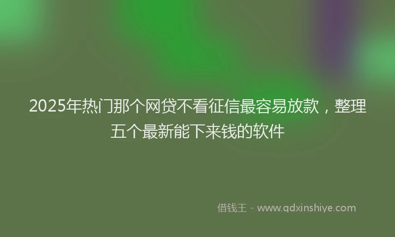 2025年热门那个网贷不看征信最容易放款，整理五个最新能下来钱的软件