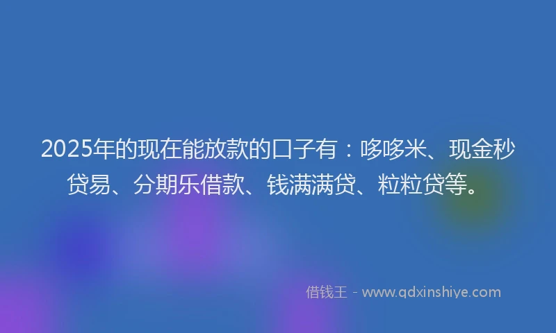 2025年的现在能放款的口子有：哆哆米、现金秒贷易、分期乐借款、钱满满贷、粒粒贷等。