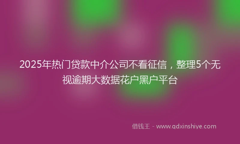 2025年热门贷款中介公司不看征信，整理5个无视逾期大数据花户黑户平台
