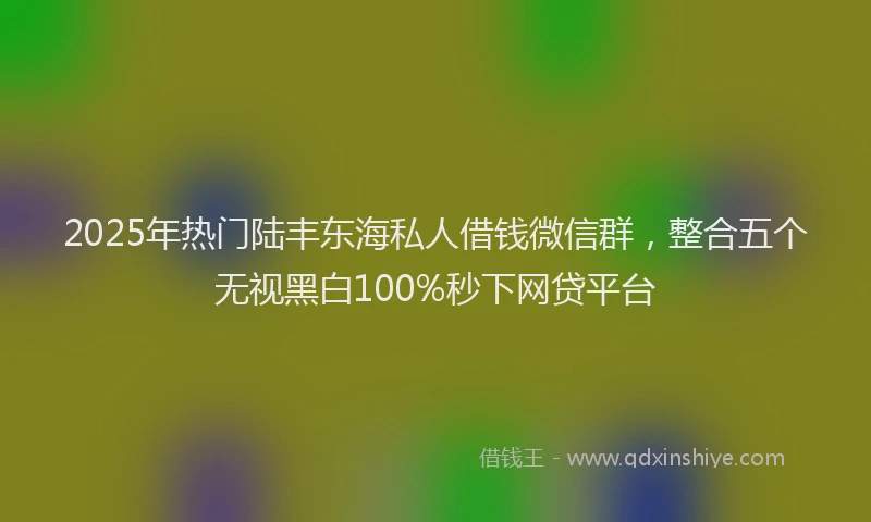 2025年热门陆丰东海私人借钱微信群，整合五个无视黑白100%秒下网贷平台
