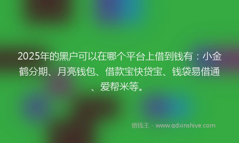2025年的黑户可以在哪个平台上借到钱有：小金鹤分期、月亮钱包、借款宝快贷宝、钱袋易借通、爱帮米等。