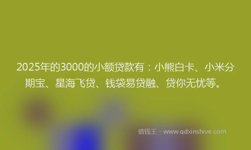 2025年的3000的小额贷款有：小熊白卡、小米分期宝、星海飞贷、钱袋易贷融、贷你无忧等。