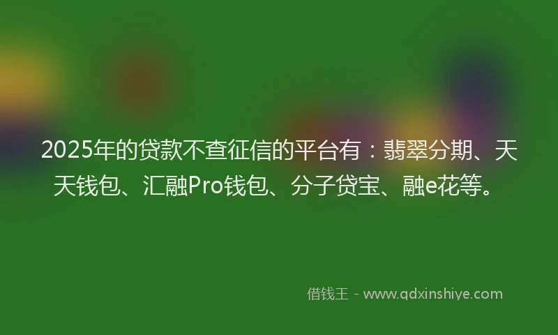 2025年的贷款不查征信的平台有：翡翠分期、天天钱包、汇融Pro钱包、分子贷宝、融e花等。
