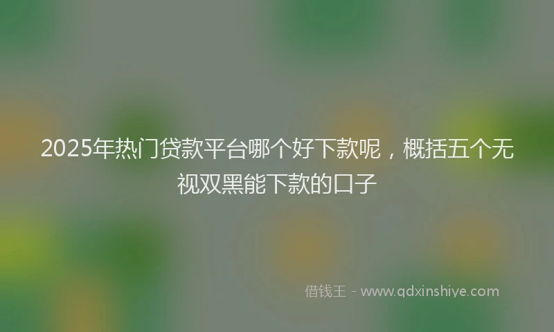 2025年热门贷款平台哪个好下款呢，概括五个无视双黑能下款的口子