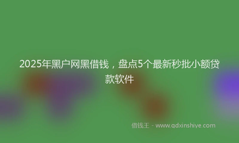 2025年黑户网黑借钱，盘点5个最新秒批小额贷款软件