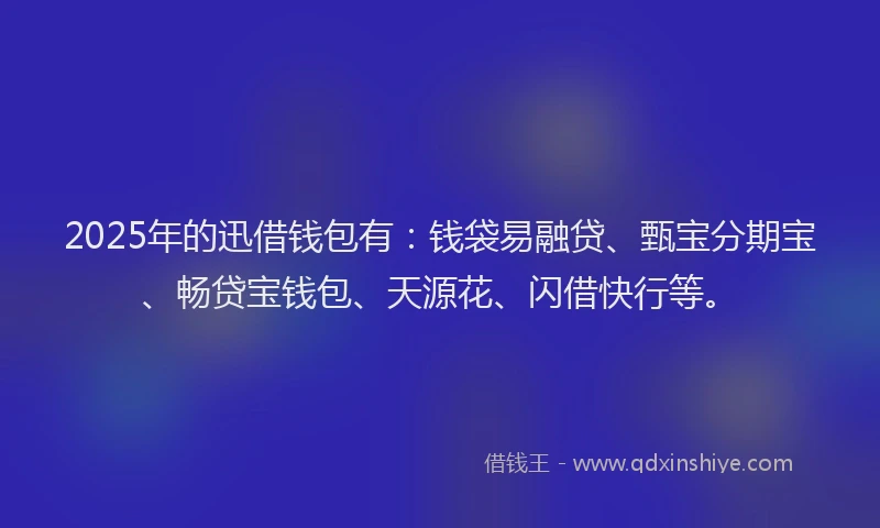 2025年的迅借钱包有：钱袋易融贷、甄宝分期宝、畅贷宝钱包、天源花、闪借快行等。