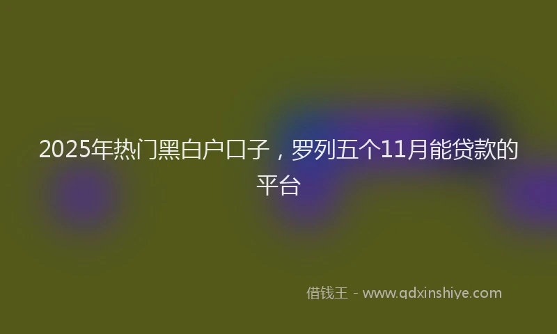 2025年热门黑白户口子，罗列五个11月能贷款的平台