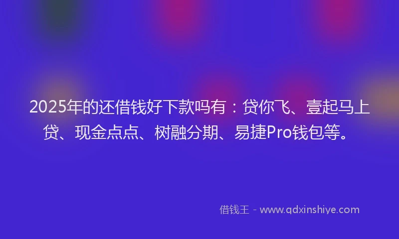 2025年的还借钱好下款吗有：贷你飞、壹起马上贷、现金点点、树融分期、易捷Pro钱包等。