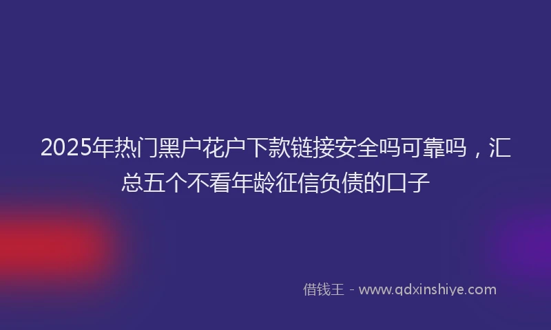2025年热门黑户花户下款链接安全吗可靠吗，汇总五个不看年龄征信负债的口子