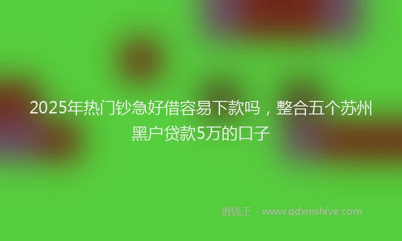 2025年热门钞急好借容易下款吗，整合五个苏州黑户贷款5万的口子