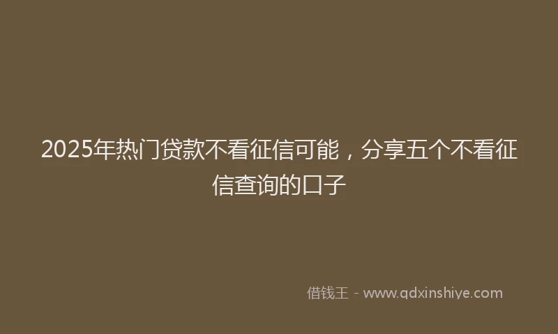 2025年热门贷款不看征信可能，分享五个不看征信查询的口子