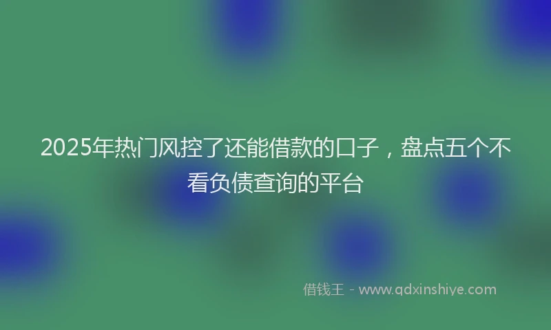 2025年热门风控了还能借款的口子，盘点五个不看负债查询的平台