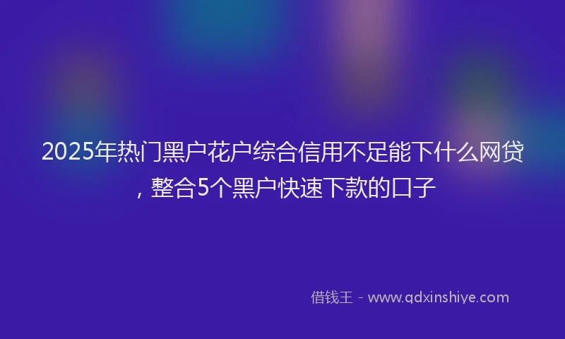 2025年热门黑户花户综合信用不足能下什么网贷，整合5个黑户快速下款的口子