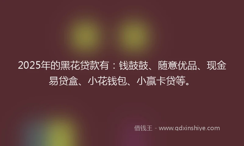 2025年的黑花贷款有：钱鼓鼓、随意优品、现金易贷盒、小花钱包、小赢卡贷等。