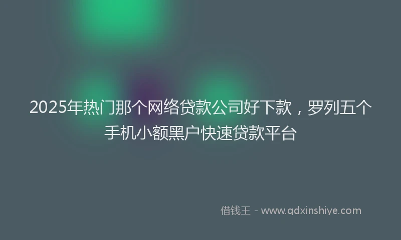 2025年热门那个网络贷款公司好下款，罗列五个手机小额黑户快速贷款平台